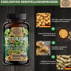 ® Nattokinase 20.000 FU/g | pflanzliche Fermentation, 100% rein & vegan>SCHEUNENGUT Discount