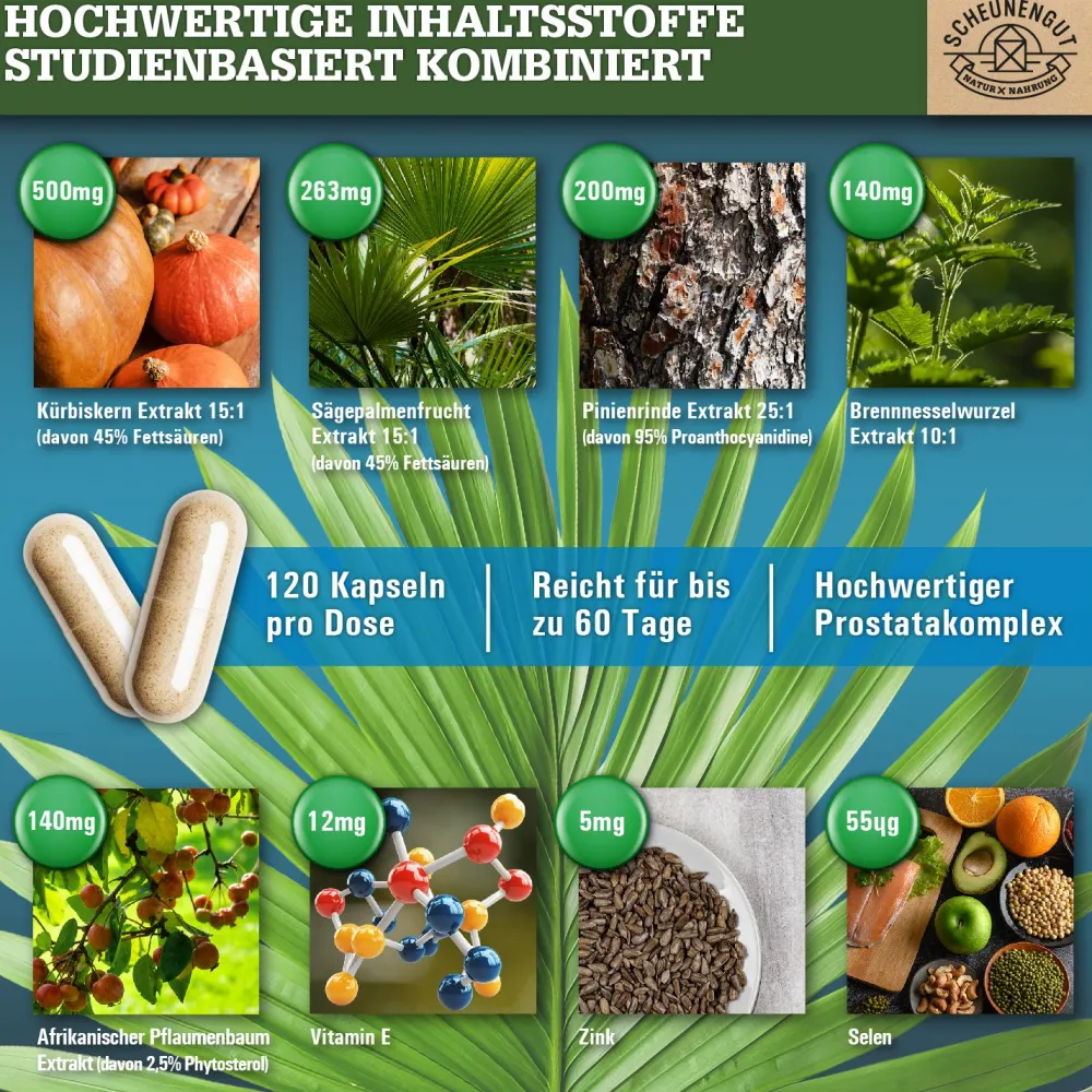 ® PROSTA INTENSO+ | Kürbiskern, Sägepalme, afrikanischer Pflaumenbaum | starker Komplex>SCHEUNENGUT Best
