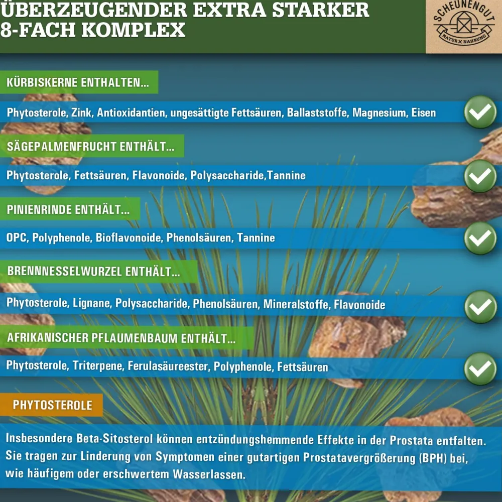 ® PROSTA INTENSO+ | Kürbiskern, Sägepalme, afrikanischer Pflaumenbaum | starker Komplex>SCHEUNENGUT Best