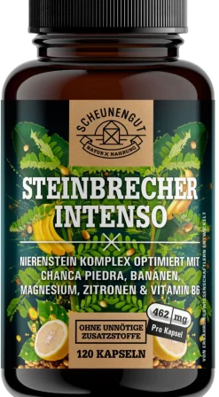 ® Steinbrecher Intenso | Die Original Nierenstein-Formel aus der TCM | Chanca Piedra|SCHEUNENGUT Best