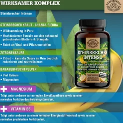 ® Steinbrecher Intenso | Die Original Nierenstein-Formel aus der TCM | Chanca Piedra|SCHEUNENGUT Best