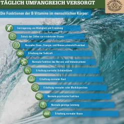 Scheunengut® Vitamin B Komplex - alle 8 B Vitamine + Myo-Inositol, Betain und Cholin| Clearance