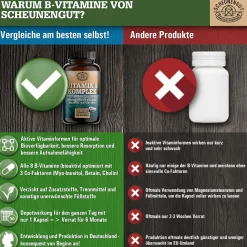 Scheunengut® Vitamin B Komplex - alle 8 B Vitamine + Myo-Inositol, Betain und Cholin| Clearance