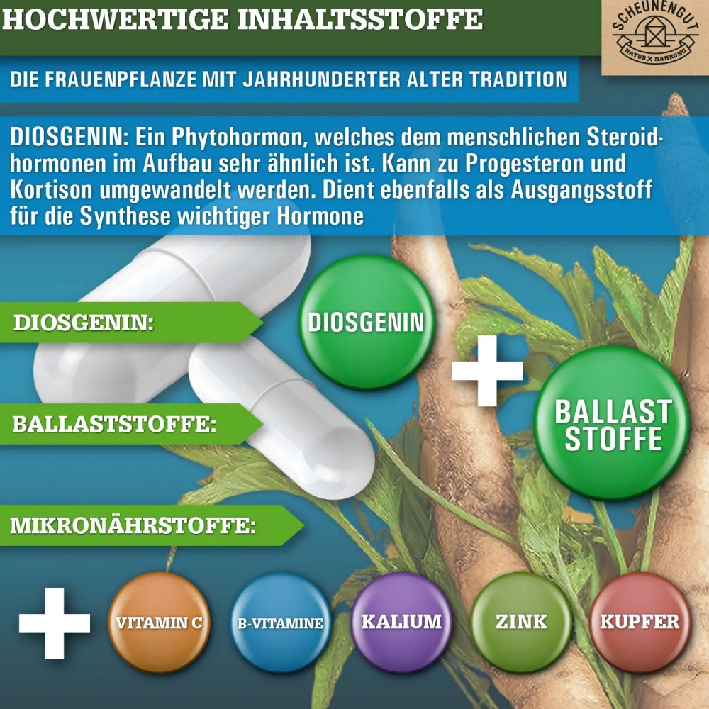 ® Yamswurzel Extrakt | Mexikanischer Wild Yams Kapseln|SCHEUNENGUT Best