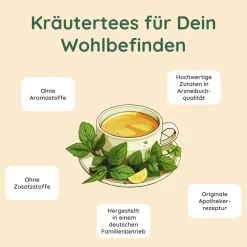 Schlosskräuter Stoffwechseltee mit Brennnessel | Brennnesseltee 100% Natürlich> New