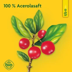 ® Acerola naturtrüber Fruchtsaft|Schoenenberger Sale