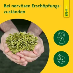 ® Hafer naturreiner Heilpflanzensaft Hafer|Schoenenberger Online