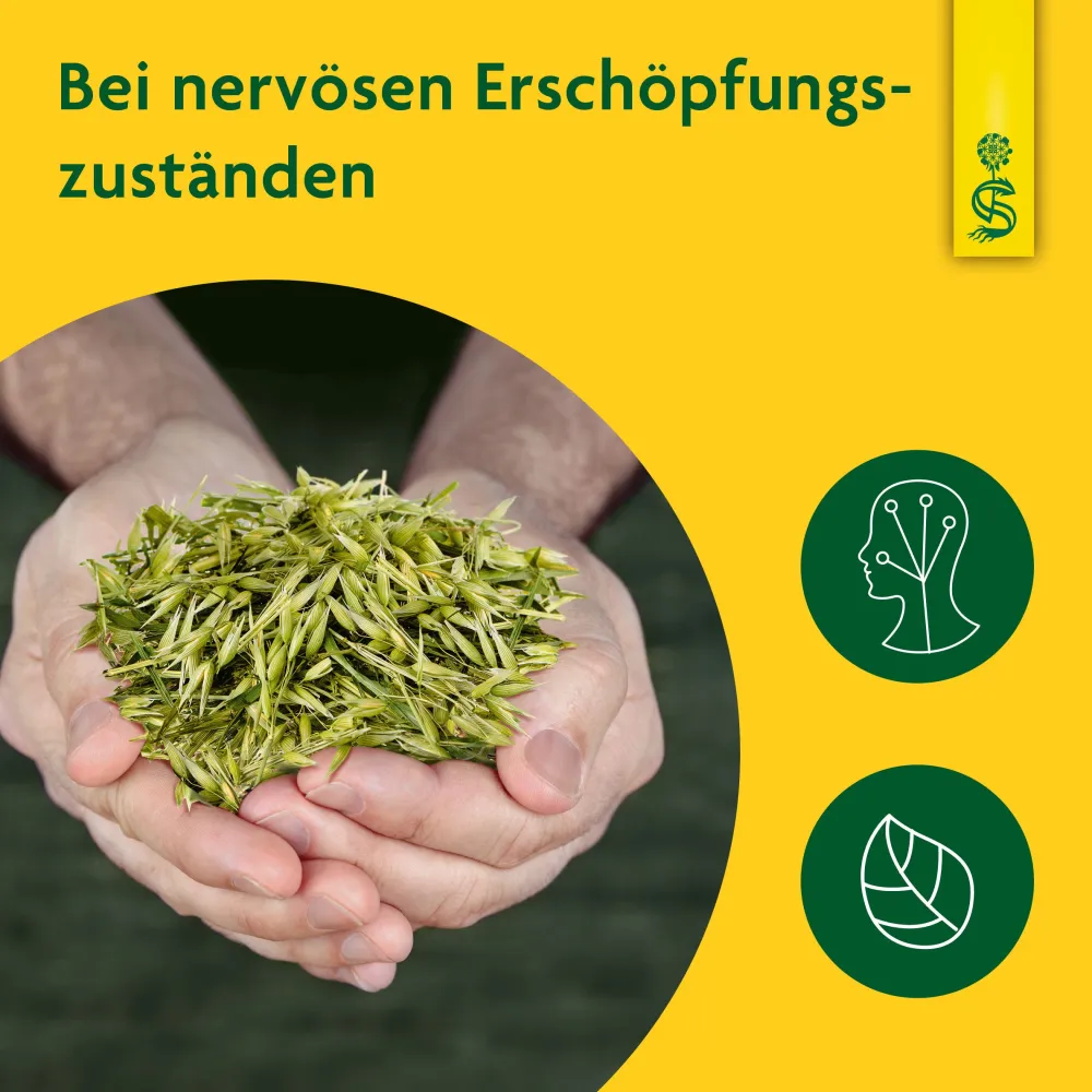 ® Hafer naturreiner Heilpflanzensaft Hafer|Schoenenberger Online
