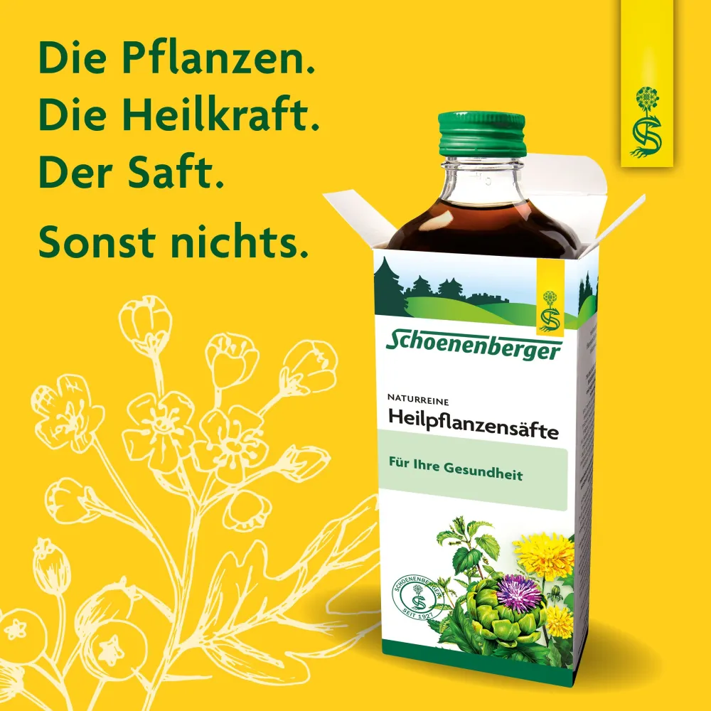 ® Hafer naturreiner Heilpflanzensaft Hafer|Schoenenberger Online