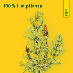 ® Heilpflanzensaft Zinnkraut|Schoenenberger Discount