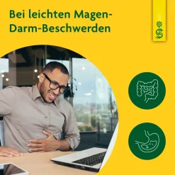 ® Heilpflanzensaft Löwenzahn|Schoenenberger Outlet