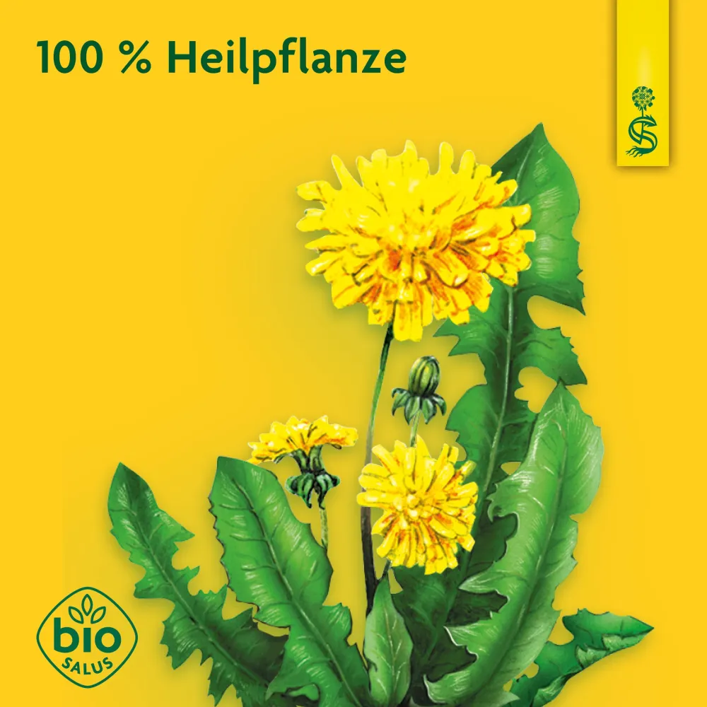 ® Heilpflanzensaft Löwenzahn|Schoenenberger Outlet