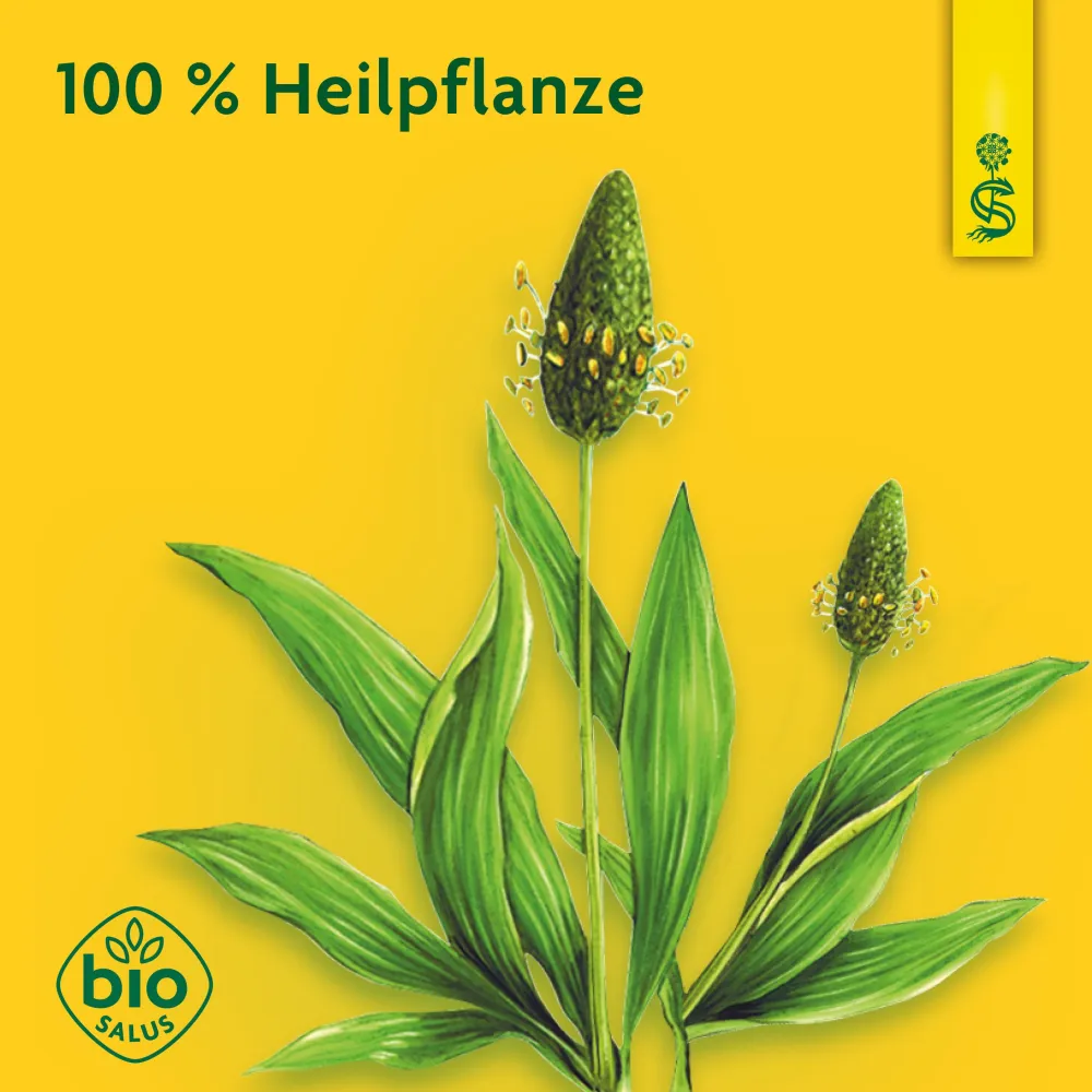 ® Heilpflanzensaft Spitzwegerich>Schoenenberger Best