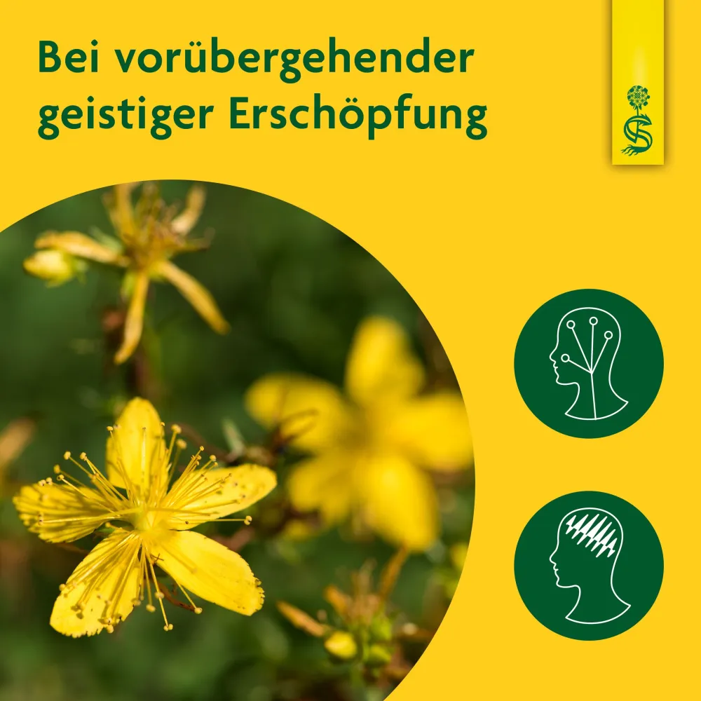 ® naturreiner Heilpflanzensaft Johanniskraut|Schoenenberger Best