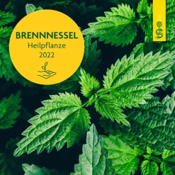® naturreiner Heilpflanzensaft Brennnessel><noscript><img data-lazyloaded=
