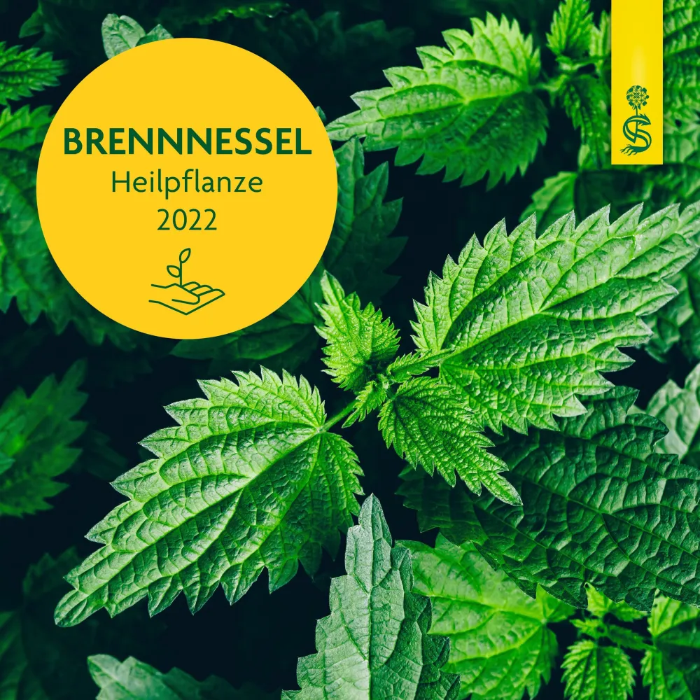 ® naturreiner Heilpflanzensaft Brennnessel>Schoenenberger Discount