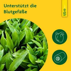 ® naturreiner Pflanzensaft Bärlauch|Schoenenberger Hot