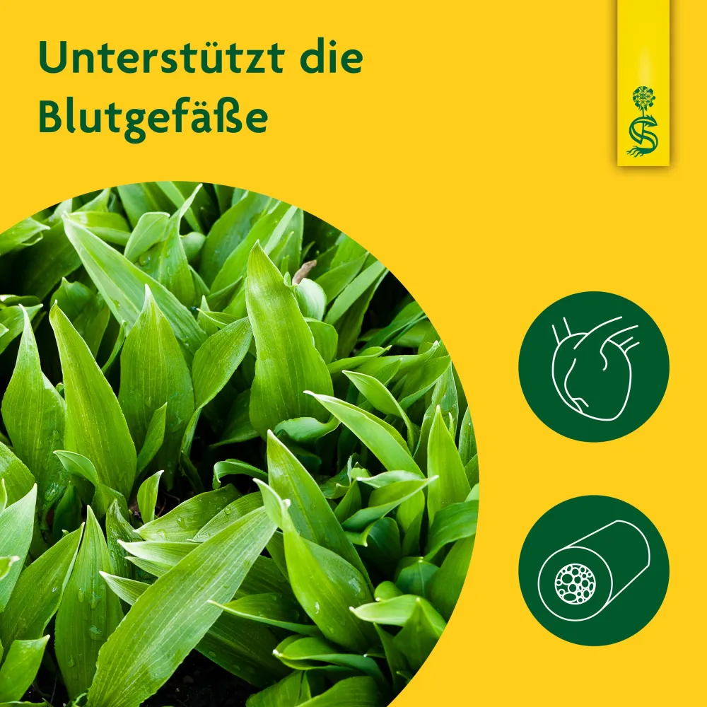 ® naturreiner Pflanzensaft Bärlauch|Schoenenberger Hot