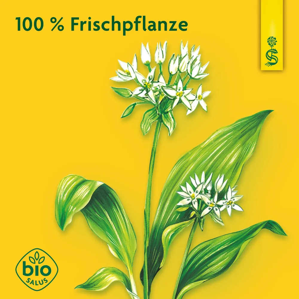 ® naturreiner Pflanzensaft Bärlauch|Schoenenberger Hot