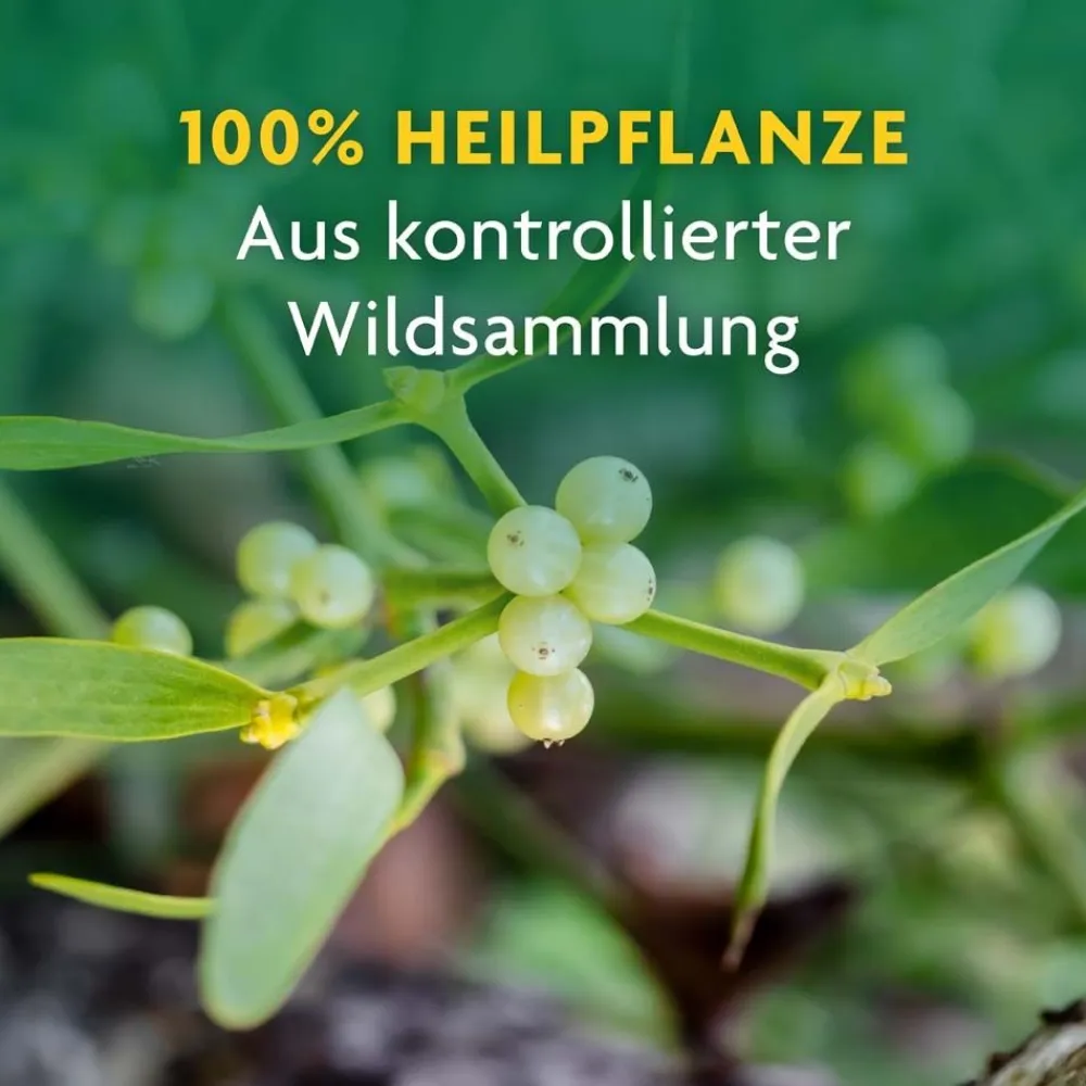 ® naturreiner Heilpflanzensaft Mistel|Schoenenberger Hot