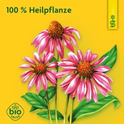 ® naturreiner Heilpflanzensaft Echinacea|Schoenenberger Discount