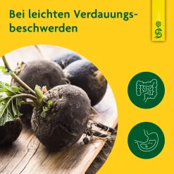 ® naturreiner Heilpflanzensaft Schwarzrettich|Schoenenberger Sale
