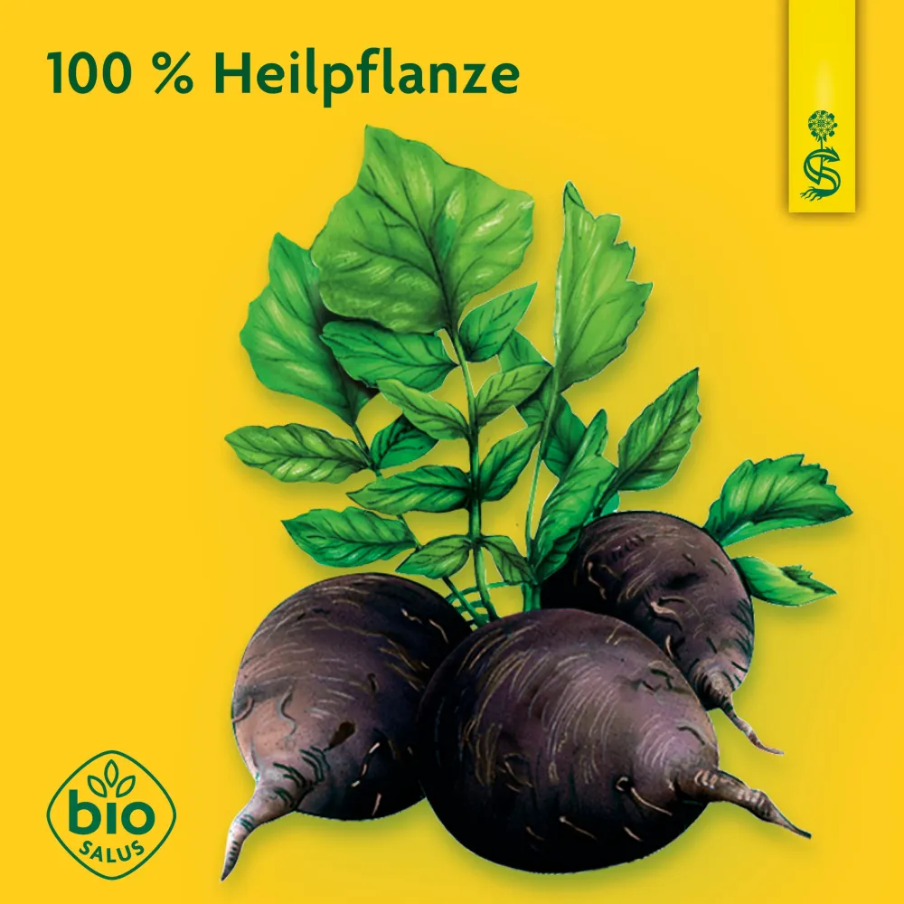 ® naturreiner Heilpflanzensaft Schwarzrettich|Schoenenberger Sale