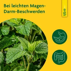 ® naturreiner Heilpflanzensaft Melisse>Schoenenberger