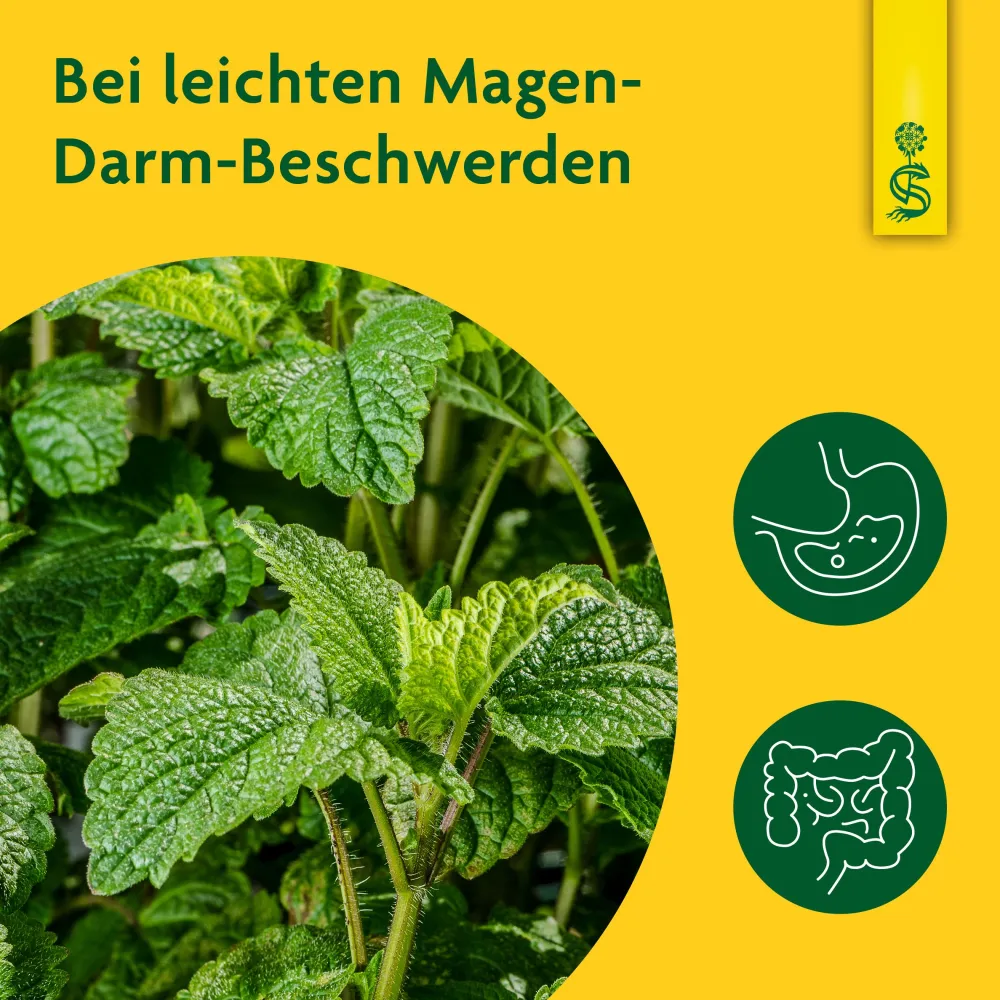 ® naturreiner Heilpflanzensaft Melisse>Schoenenberger