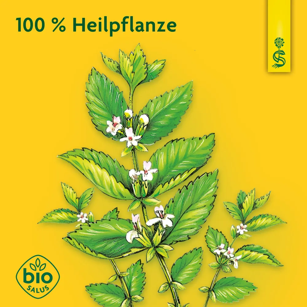® naturreiner Heilpflanzensaft Melisse>Schoenenberger