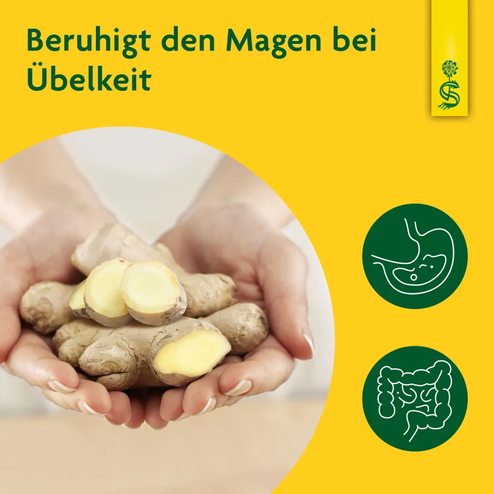 ® naturreiner Pflanzentrunk Ingwer|Schoenenberger