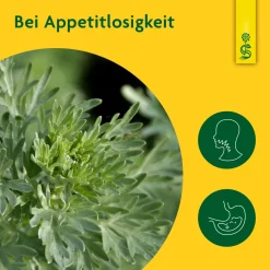 ® naturreiner Heilpflanzensaft Wermut|Schoenenberger