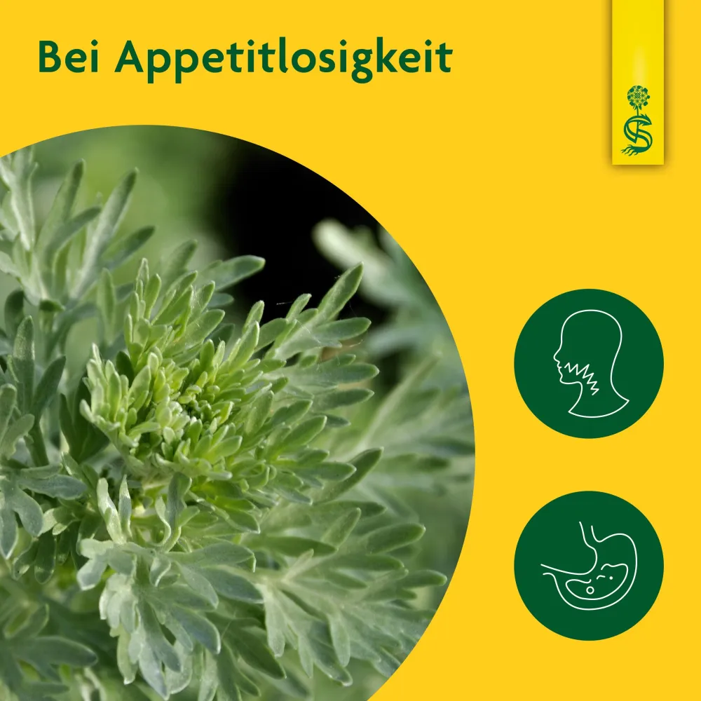 ® naturreiner Heilpflanzensaft Wermut|Schoenenberger