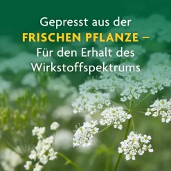 ® naturreiner Heilpflanzensaft Schafgarbe|Schoenenberger Online