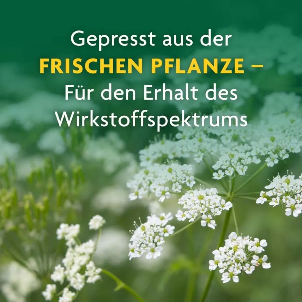 ® naturreiner Heilpflanzensaft Schafgarbe|Schoenenberger Online