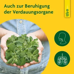 ® naturreiner Heilpflazensaft Andorn><noscript><img width=