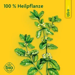 ® naturreiner Heilpflazensaft Andorn><noscript><img width=