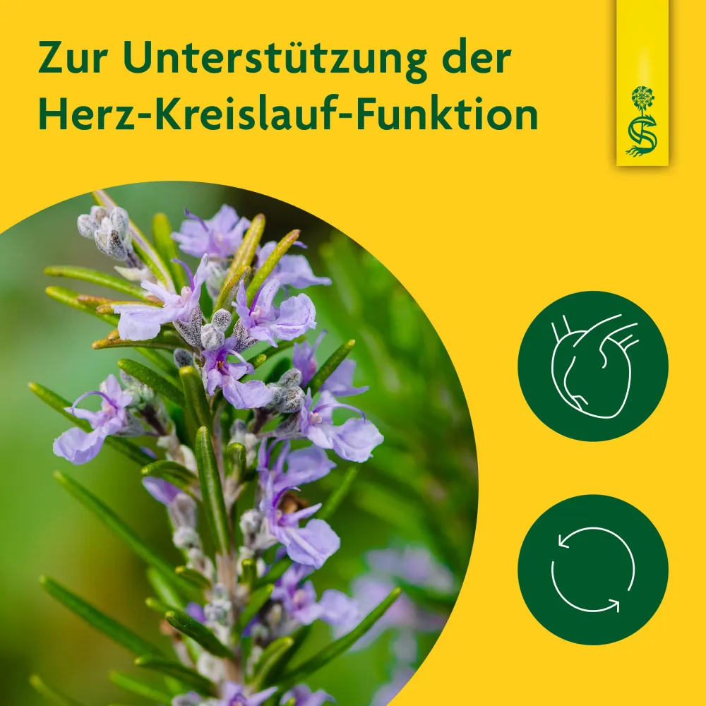 ® Rosmarin|Schoenenberger Online