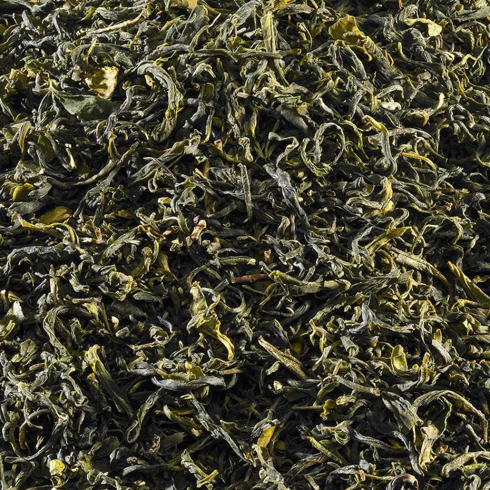 Grüner Tee China Nebeltee Bio>SCHRADER Best