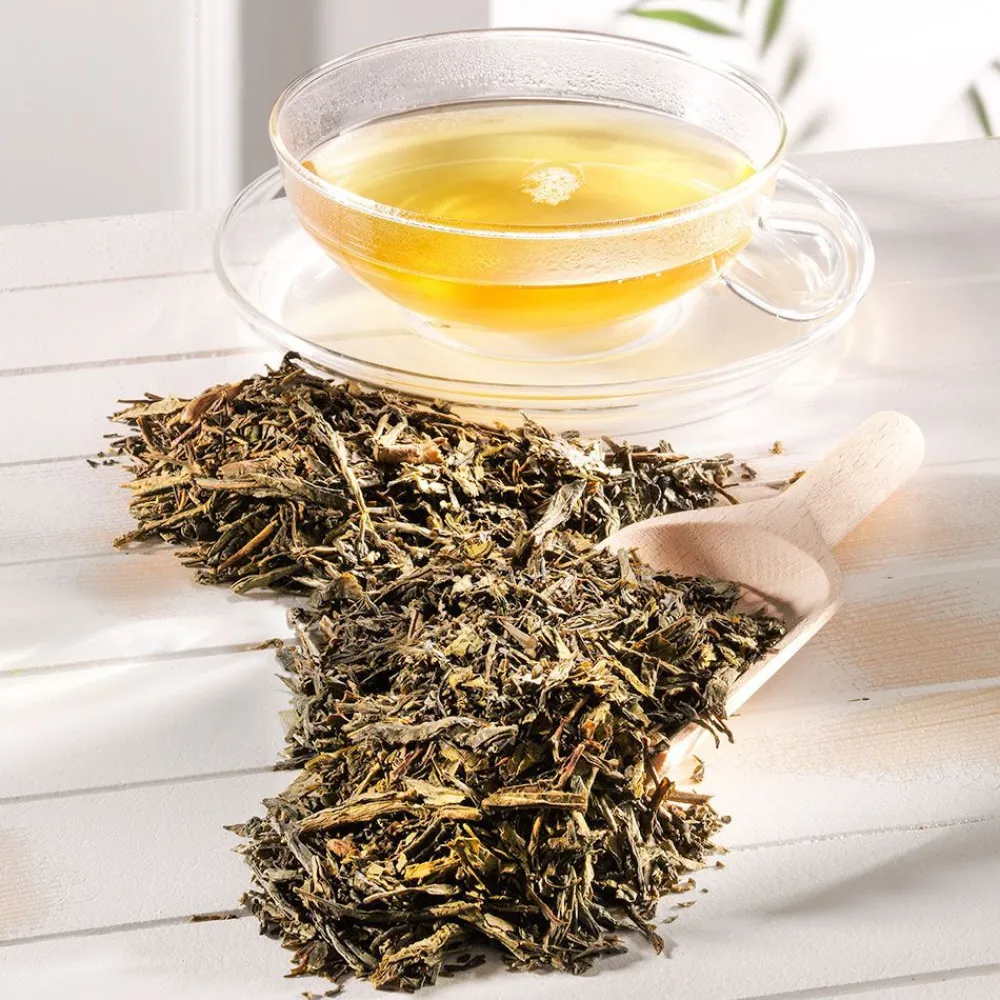 Grüner Tee Japan Bancha Bio>SCHRADER Sale