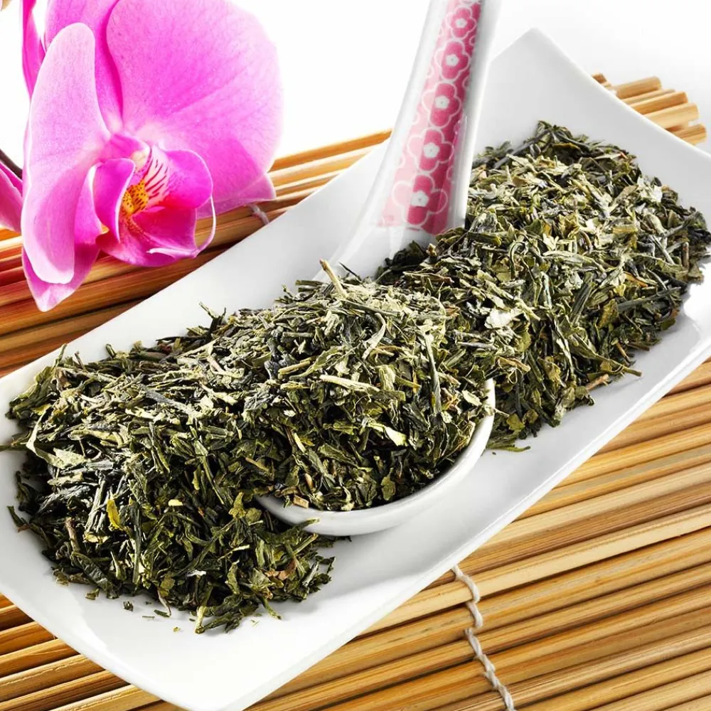 Grüner Tee Japan Sencha Bio|SCHRADER Best