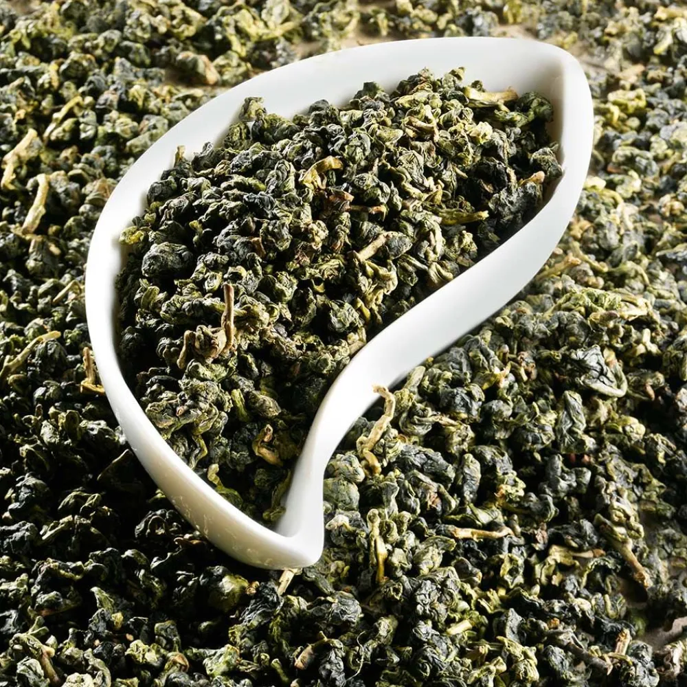 Oolong Tee Formosa Dung Ting>SCHRADER Hot