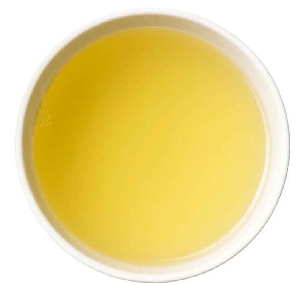 Oolong Tee Formosa Dung Ting>SCHRADER Hot