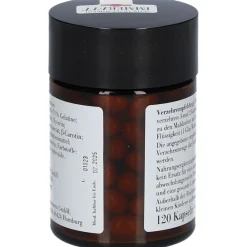 Schwarzkümmelöl Immerfit><noscript><img width=