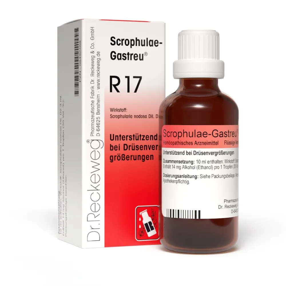 Scrophulae-Gastreu® R17 Tropfen> Hot