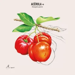 Sekoya Swiss Acerola+ Natürliches Vitamin C><noscript><img width=