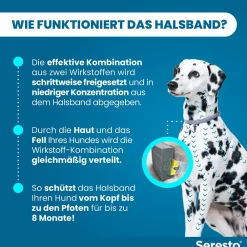 Halsband für große Hunde über 8 kg gegen Zecken und Flöhe, wirkt abtötend und repellierend bis zu 8 Monate><noscript><img width=