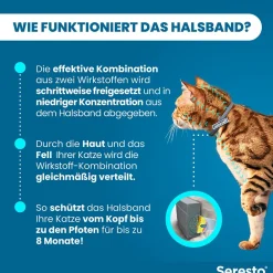 Halsband für Katzen gegen Zecken und Flöhe, wirkt abtötend und repellierend bis zu 7-8 Monate><noscript><img data-lazyloaded=