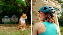 Halsband für Katzen gegen Zecken und Flöhe, wirkt abtötend und repellierend bis zu 7-8 Monate><noscript><img data-lazyloaded=