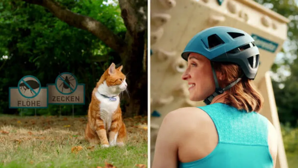 Halsband für Katzen gegen Zecken und Flöhe, wirkt abtötend und repellierend bis zu 7-8 Monate>Seresto Online